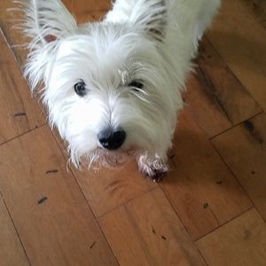 Meet your Posher, Julie